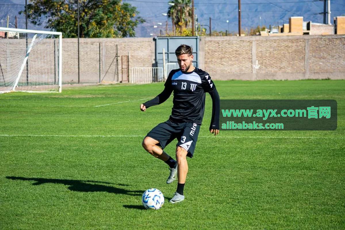 AYX官网 创作者共创计划画面