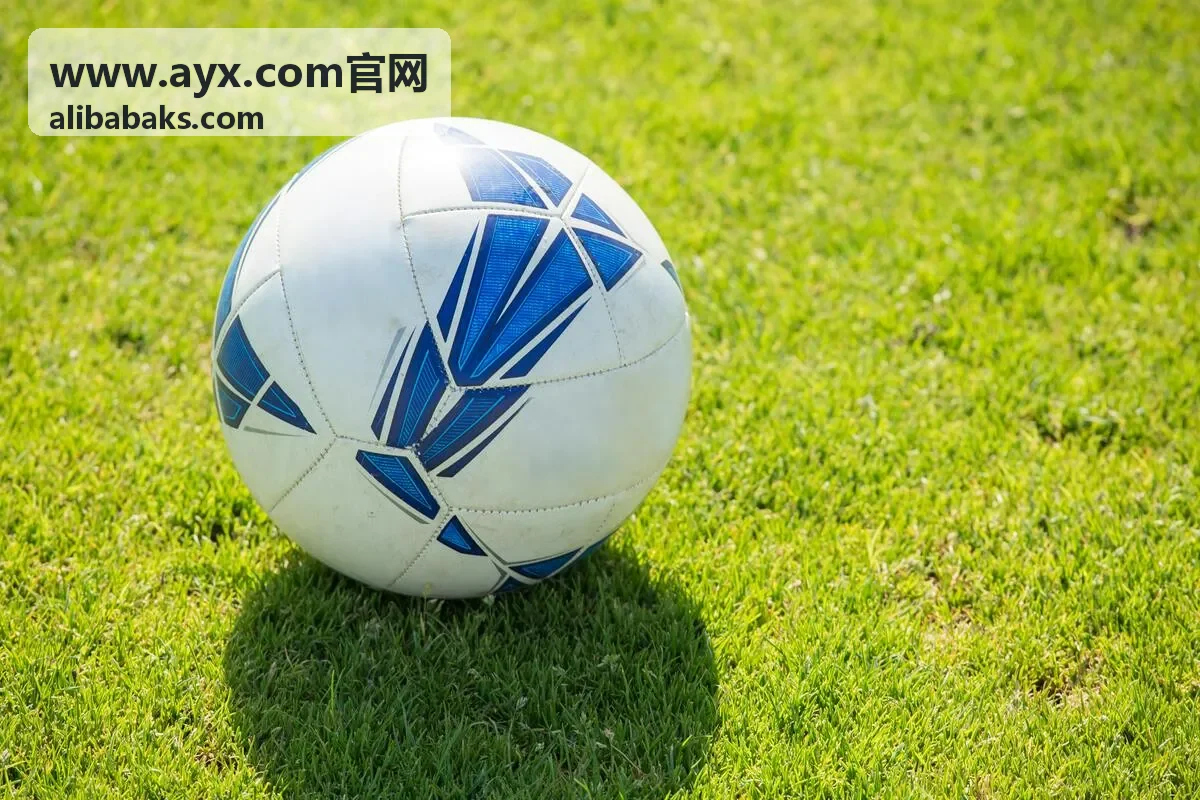 AYX官网 新品包装开箱记录画面
